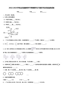 2022-2023学年山东省德州市宁津县数学五下期末学业质量监测试题含解析