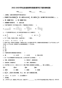 2022-2023学年山东省滨州市滨城区数学五下期末调研试题含解析