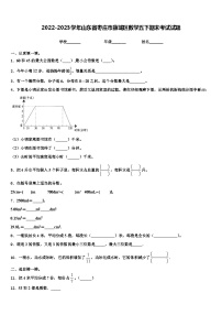 2022-2023学年山东省枣庄市薛城区数学五下期末考试试题含解析