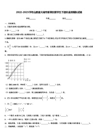 2022-2023学年山西省大同市新荣区数学五下期末监测模拟试题含解析