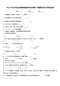 2022-2023学年山东省德州地区数学五年级第二学期期末学业水平测试试题含解析