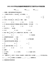 2022-2023学年山东省德州市禹城区数学五下期末学业水平测试试题含解析