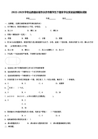 2022-2023学年山西省运城市永济市数学五下期末学业质量监测模拟试题含解析