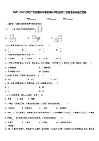 2022-2023学年广东省惠州市惠东燕岭学校数学五下期末达标测试试题含解析