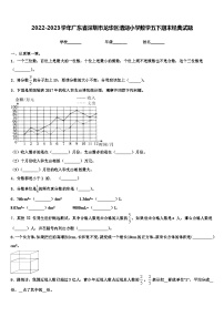 2022-2023学年广东省深圳市龙华区清湖小学数学五下期末经典试题含解析