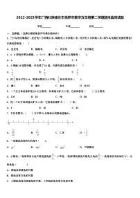 2022-2023学年广西壮族崇左市凭祥市数学五年级第二学期期末监测试题含解析