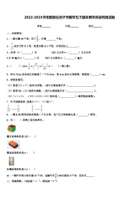 2022-2023学年新疆石河子市数学五下期末教学质量检测试题含解析