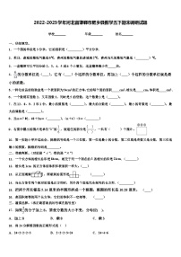 2022-2023学年河北省邯郸市肥乡县数学五下期末调研试题含解析