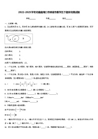 2022-2023学年河南省周口市项城市数学五下期末经典试题含解析