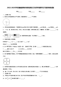 2022-2023学年湖南省娄底市新化县东方文武学校数学五下期末预测试题含解析