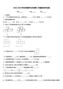 2022-2023学年环县数学五年级第二学期期末统考试题含解析