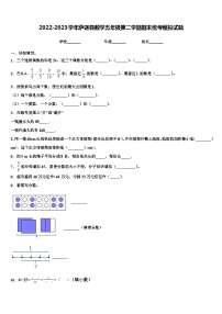 2022-2023学年萨迦县数学五年级第二学期期末统考模拟试题含解析