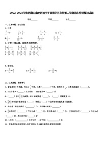 2022-2023学年西藏山南地区浪卡子县数学五年级第二学期期末检测模拟试题含解析