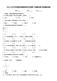 2022-2023学年阜新市新邱区数学五年级第二学期期末复习检测模拟试题含解析