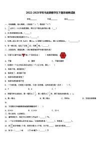 2022-2023学年马龙县数学五下期末调研试题含解析