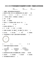 2022-2023学年陕西省商洛市洛南县数学五年级第二学期期末达标检测试题含解析