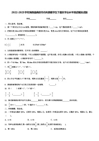 2022-2023学年陕西省商洛市丹凤县数学五下期末学业水平测试模拟试题含解析