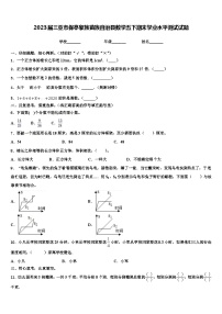 2023届三亚市保亭黎族苗族自治县数学五下期末学业水平测试试题含解析