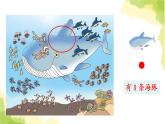 青島版小學一年級數(shù)學上冊海底世界數(shù)數(shù)作業(yè)課件