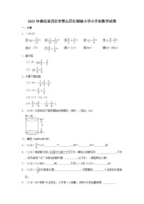 2022-2023学年湖北省武汉市青山区红钢城小学小升初数学试卷（含答案解析）