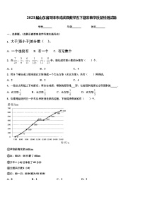 2023届山东省菏泽市成武县数学五下期末教学质量检测试题含解析