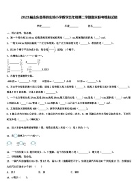 2023届山东省莘县实验小学数学五年级第二学期期末联考模拟试题含解析