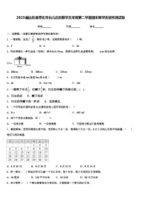 2023届山东省枣庄市台儿庄区数学五年级第二学期期末教学质量检测试题含解析