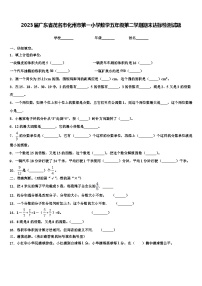 2023届广东省茂名市化州市第一小学数学五年级第二学期期末达标检测试题含解析