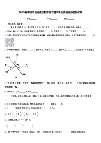 2023届枣庄市台儿庄区数学五下期末学业质量监测模拟试题含解析