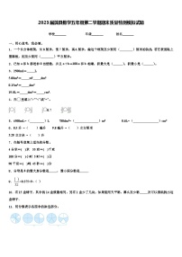 2023届淇县数学五年级第二学期期末质量检测模拟试题含解析