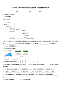 2023年上海市新城学区数学五年级第二学期期末检测试题含解析