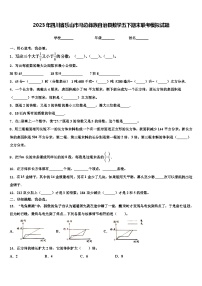 2023年四川省乐山市马边彝族自治县数学五下期末联考模拟试题含解析