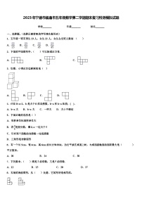 2023年宁德市福鼎市五年级数学第二学期期末复习检测模拟试题含解析