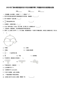 2023年广西壮族防城港市东兴市五年级数学第二学期期末综合测试模拟试题含解析