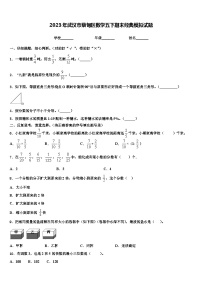 2023年武汉市蔡甸区数学五下期末经典模拟试题含解析