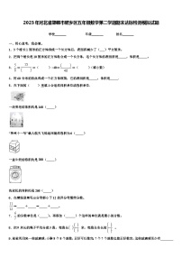 2023年河北省邯郸市肥乡区五年级数学第二学期期末达标检测模拟试题含解析