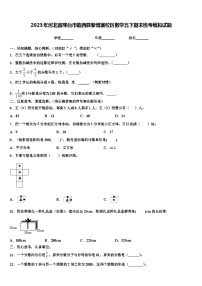 2023年河北省邢台市临西县黎博寨校区数学五下期末统考模拟试题含解析