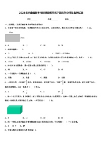 2023年河南省新乡市延津县数学五下期末学业质量监测试题含解析