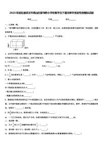 2023年湖北省武汉市青山区新沟桥小学年数学五下期末教学质量检测模拟试题含解析