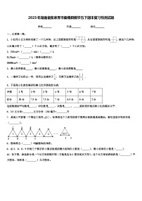 2023年湖南省张家界市桑植县数学五下期末复习检测试题含解析