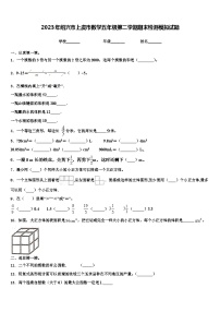 2023年绍兴市上虞市数学五年级第二学期期末检测模拟试题含解析