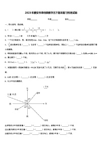 2023年雅安市荥经县数学五下期末复习检测试题含解析