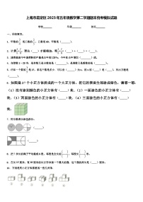 上海市嘉定区2023年五年级数学第二学期期末统考模拟试题含解析