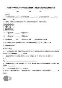 六盘水市六枝特区2023年数学五年级第二学期期末质量跟踪监视模拟试题含解析