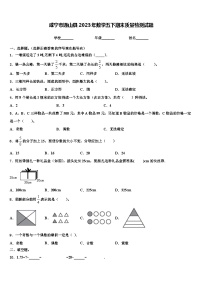 咸宁市通山县2023年数学五下期末质量检测试题含解析