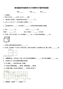 四川省宜宾市宜宾县2023年数学五下期末检测试题含解析