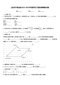 山东济宁微山县2022-2023学年数学五下期末调研模拟试题含解析