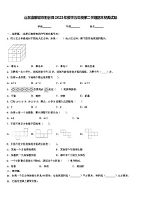 山东省聊城市阳谷县2023年数学五年级第二学期期末经典试题含解析