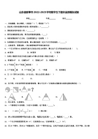 山东省新泰市2022-2023学年数学五下期末监测模拟试题含解析