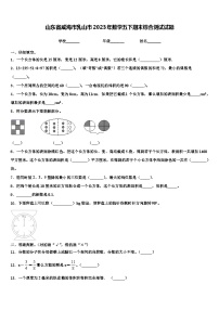 山东省威海市乳山市2023年数学五下期末综合测试试题含解析